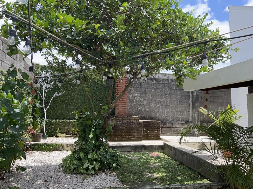 Corazon Sabana Bed & Breakfast San Jose  Exterior photo